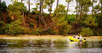 bateau-crique-bisca-decouverte