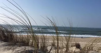 plage salie nord-février 2018