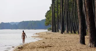 lac-plage-bisca-landes