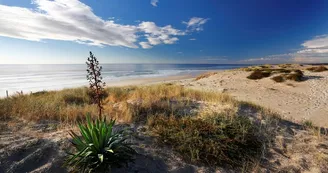 plage-oceane-bisca