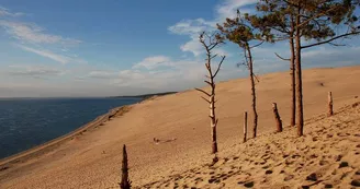 Dune du Pilat