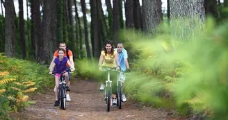 velo-foret-famille-biscarrosse