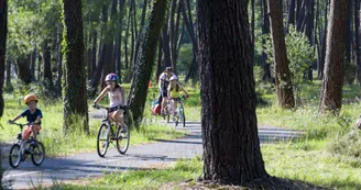 biscarrosse-pistes-cyclables-foret.jpg