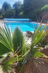 Villa Florianne piscine